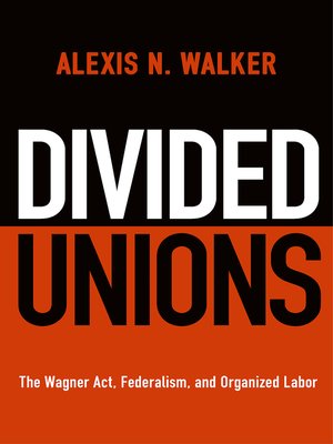 cover image of Divided Unions